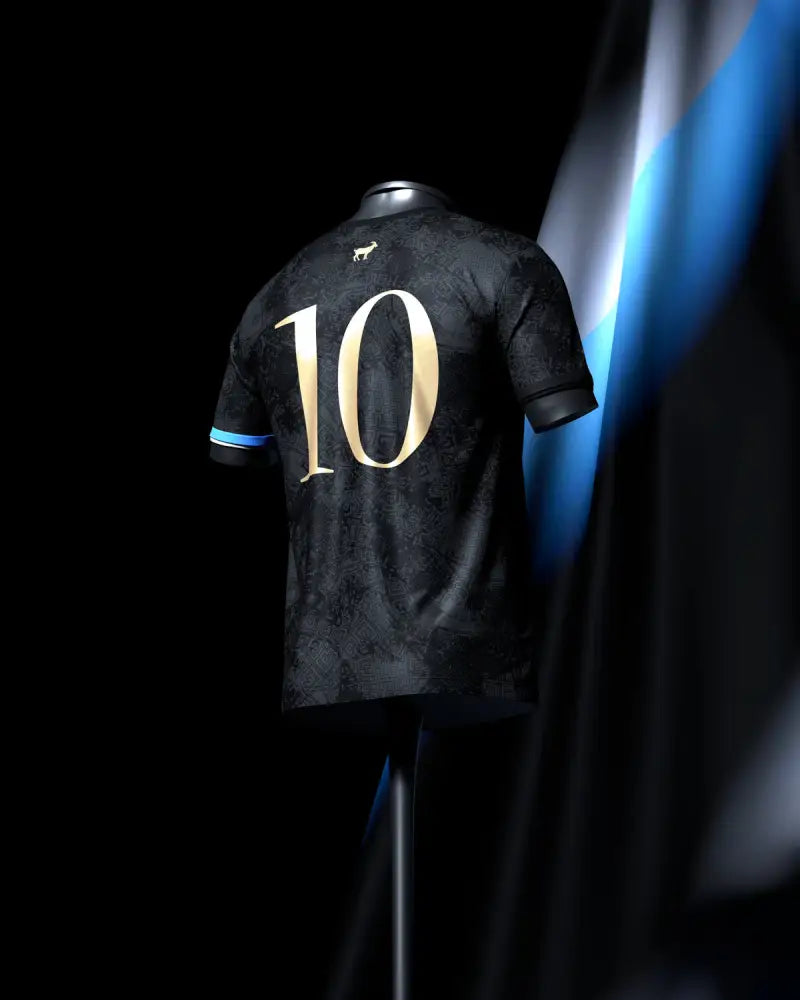 2024/25 Messi Argentina Special Edition Shirt Clothing