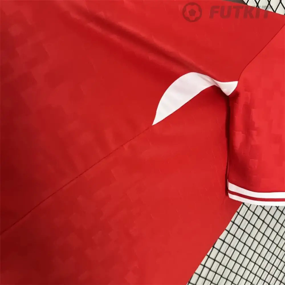 2024/25 Denmark Home Shirt Clothing