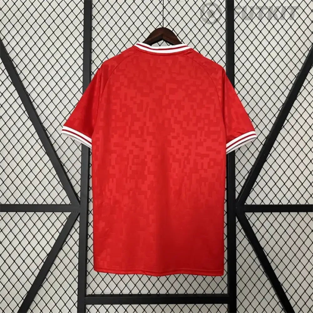 2024/25 Denmark Home Shirt Clothing