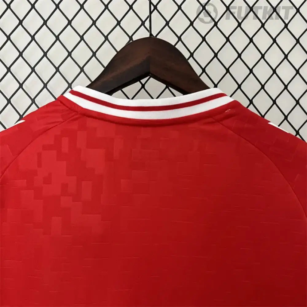 2024/25 Denmark Home Shirt Clothing