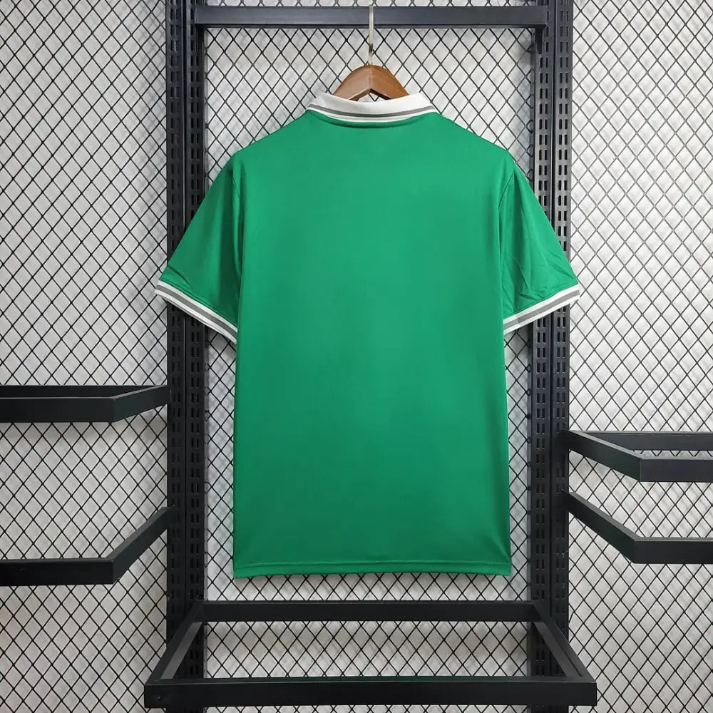 Nigeria 2023/24 Home Shirt Clothing