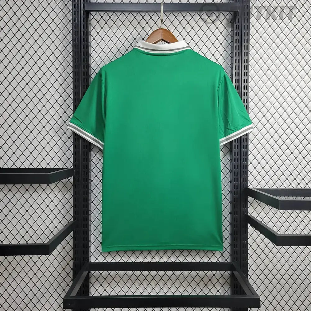Nigeria 2023/24 Home Shirt Clothing